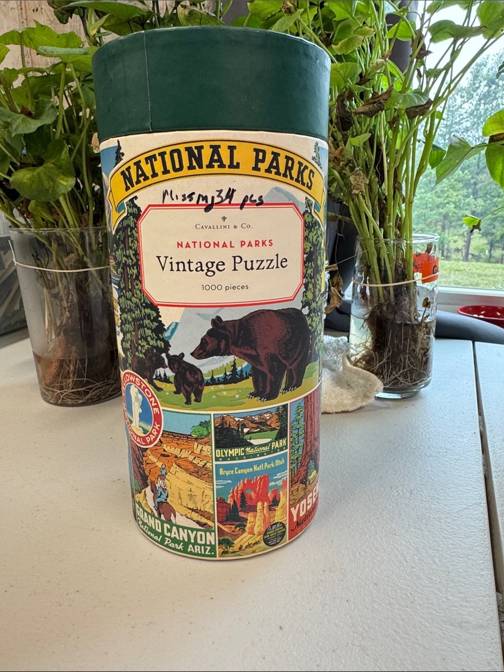 National Parks Vintage Puzzle - 1000 Piece Cylinder